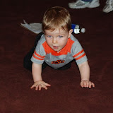 akc2008__0043.jpg