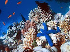 Egyptian Summer Vacations Slideshow