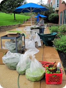 IMG_0261 IMG_0261