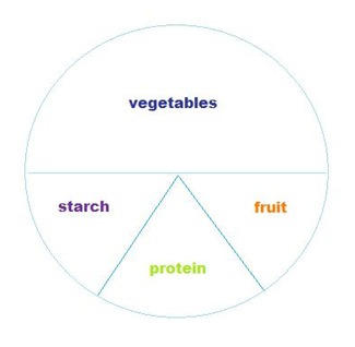 plate diagram