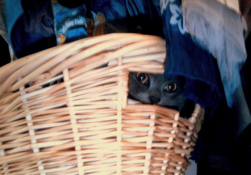 2010-01-09%2010.01.48.jpg