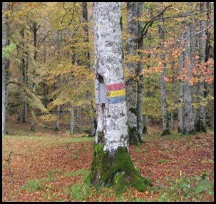 10-11-1-urbasa 004 10-11-1-urbasa 004