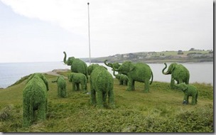 elephants-looking-to-sea-4471