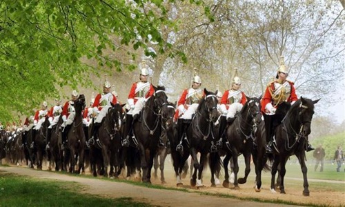 [royal-wedding-cavalry[2].jpg]
