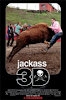 Ver Jackass 3D 2010 online