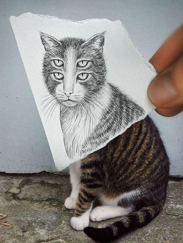 arte con fotos y dibujos arte con fotos y dibujos