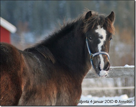 2010-eldjenta-4jan_04