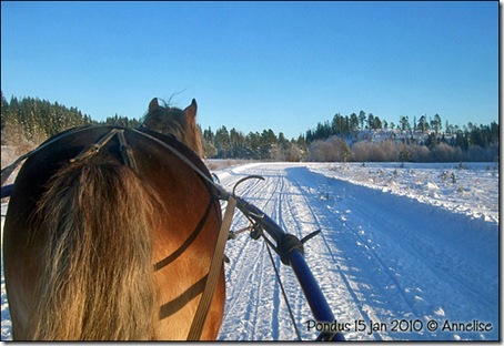 2010-15jan-pondus_03