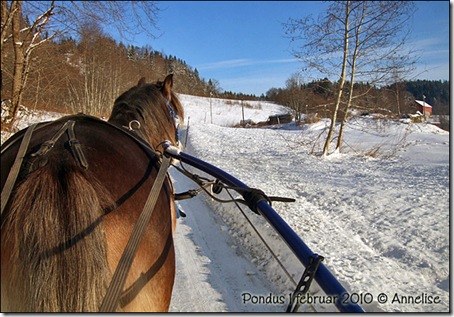 2010-01feb-pondus_01