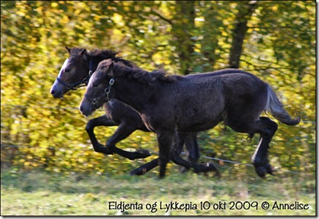 2009-10okt-jentene_05
