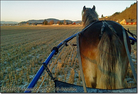 2009-17des-pondus_01