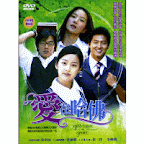 韓劇愛在哈佛DVD (全24集/雙語版) 金來沅/金泰希