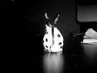 rorschachrabbit.jpg rorschachrabbit.jpg