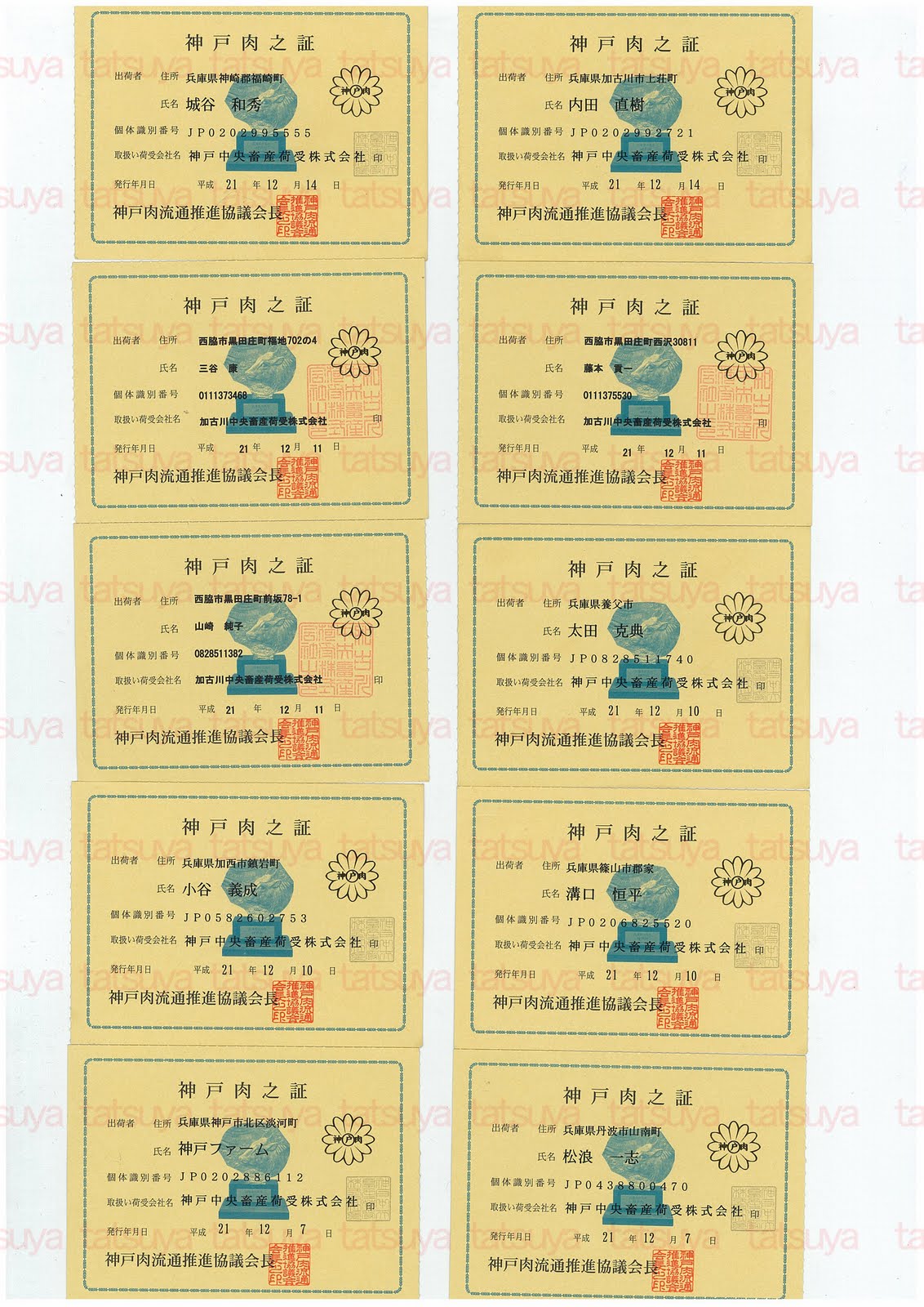 [LOT-09122701-#2.jpg]