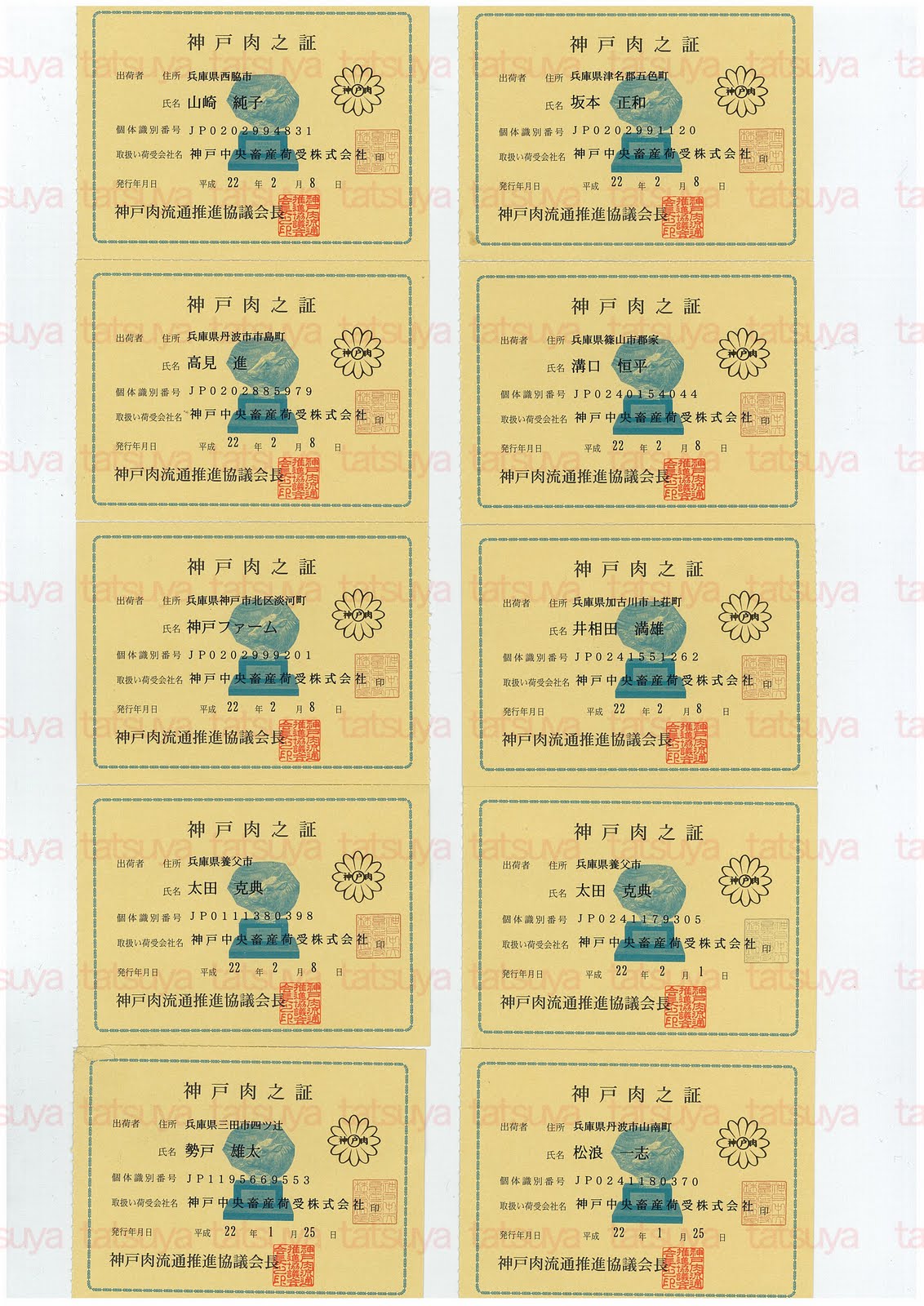 [LOT-10021501-#1.jpg]