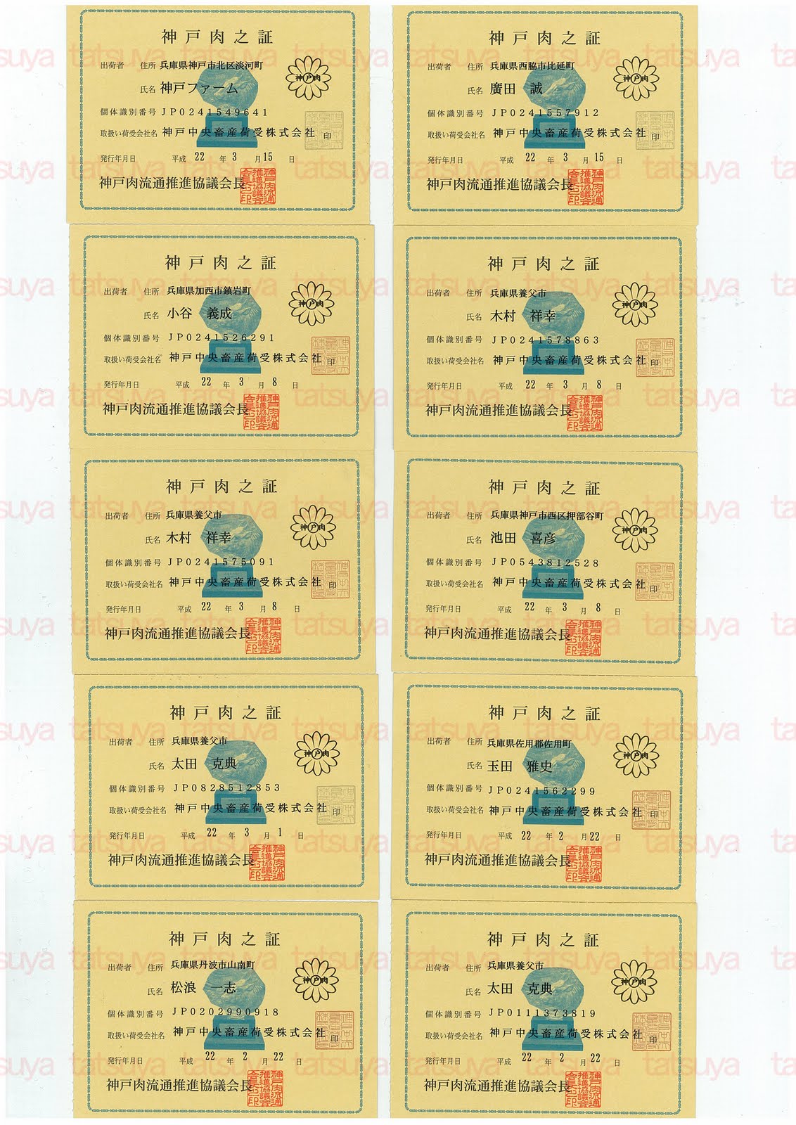 [LOT-10032301-#1.jpg]