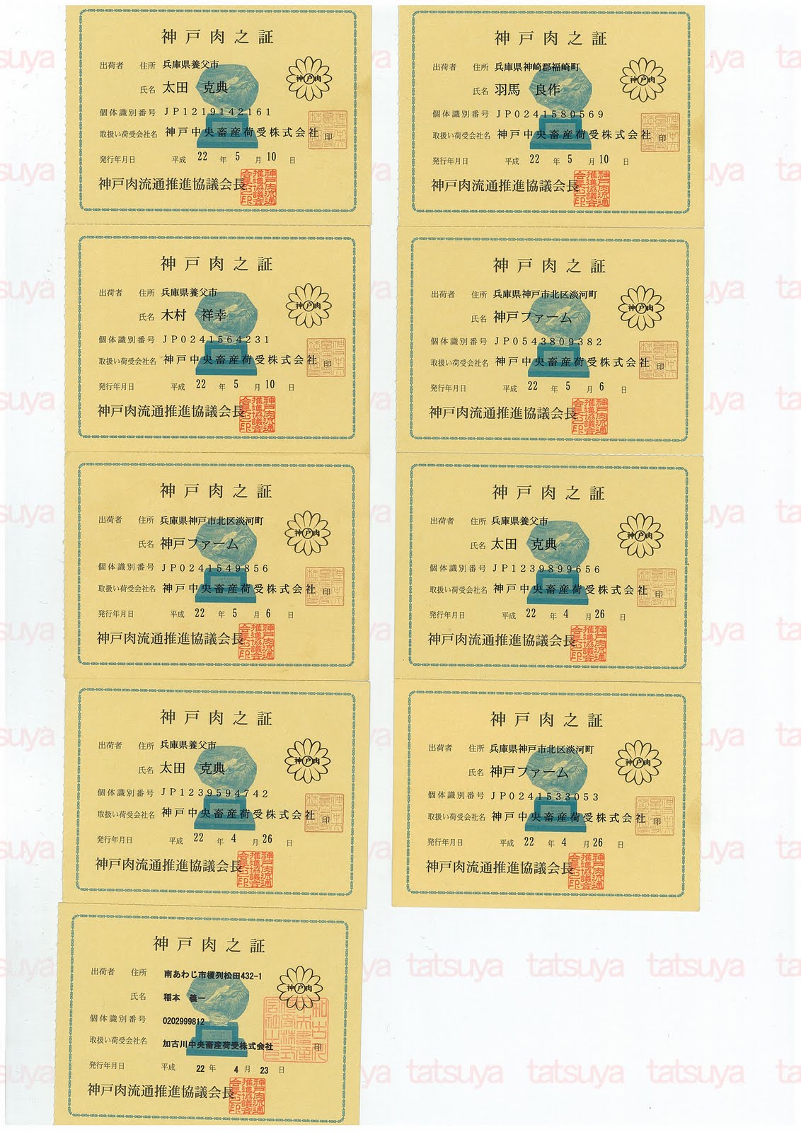 [LOT-10052101-#1.jpg]