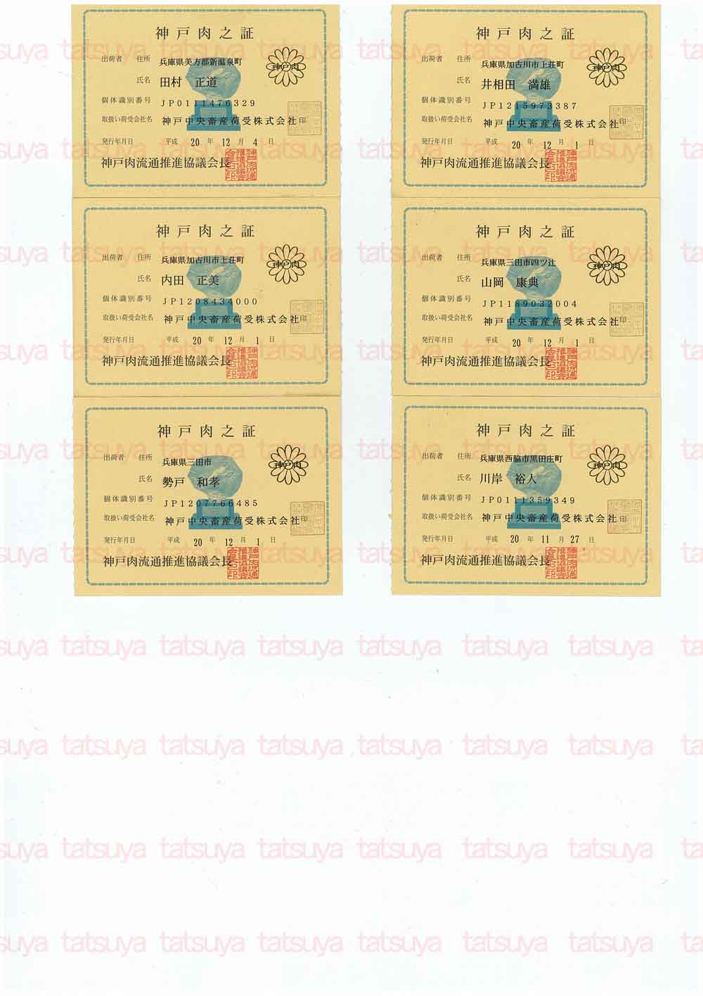 [LOT-08122801-#3.jpg]
