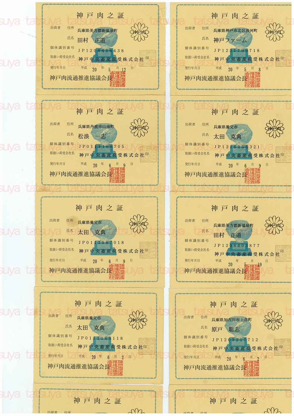 [LOT-08061401-#1.jpg]