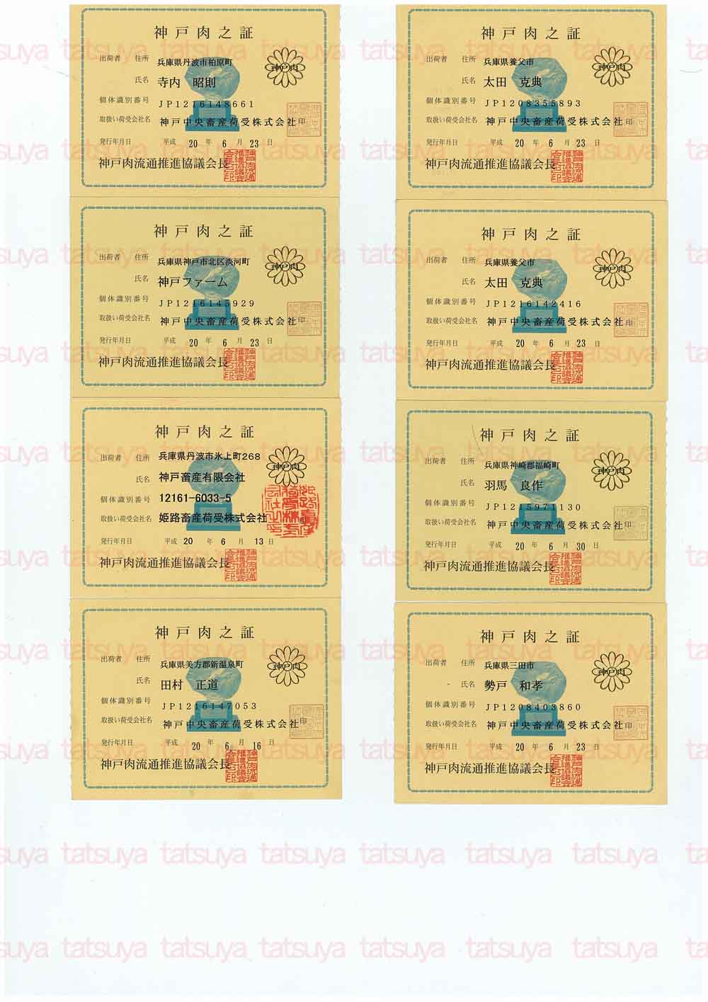 [LOT-08070701-#1.jpg]