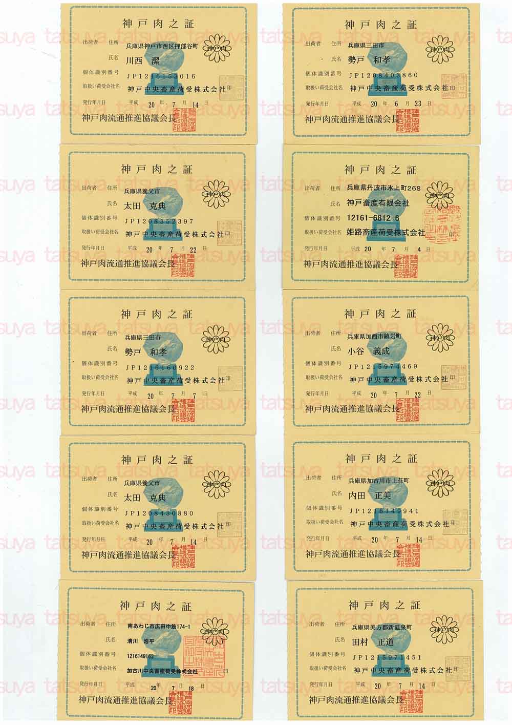[LOT-08072901-#1.jpg]