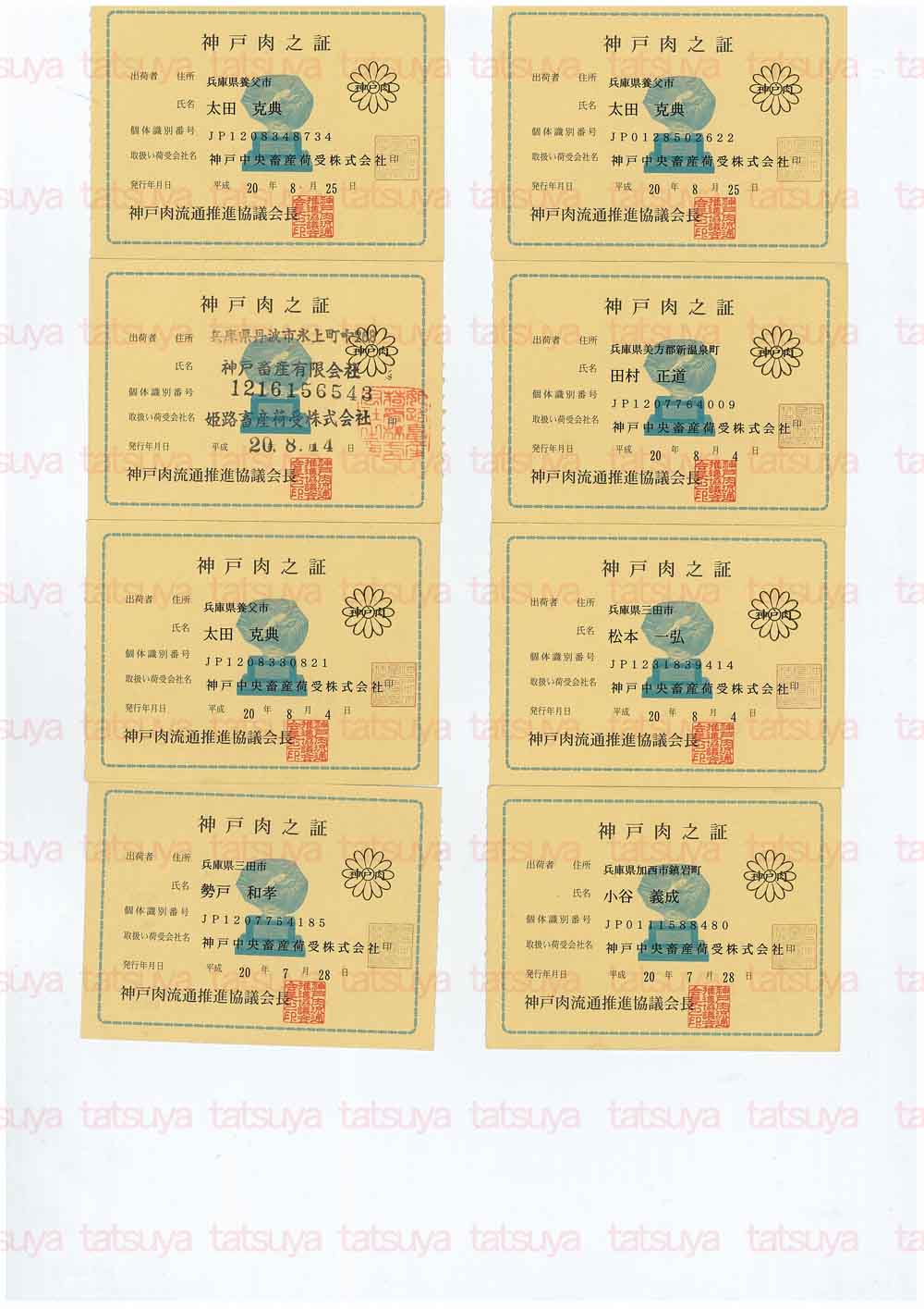 [LOT-08090101-#1.jpg]