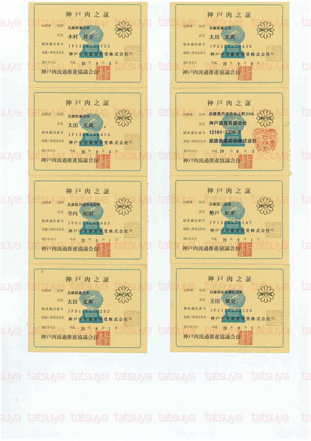 [LOT-08091801-#1.jpg]