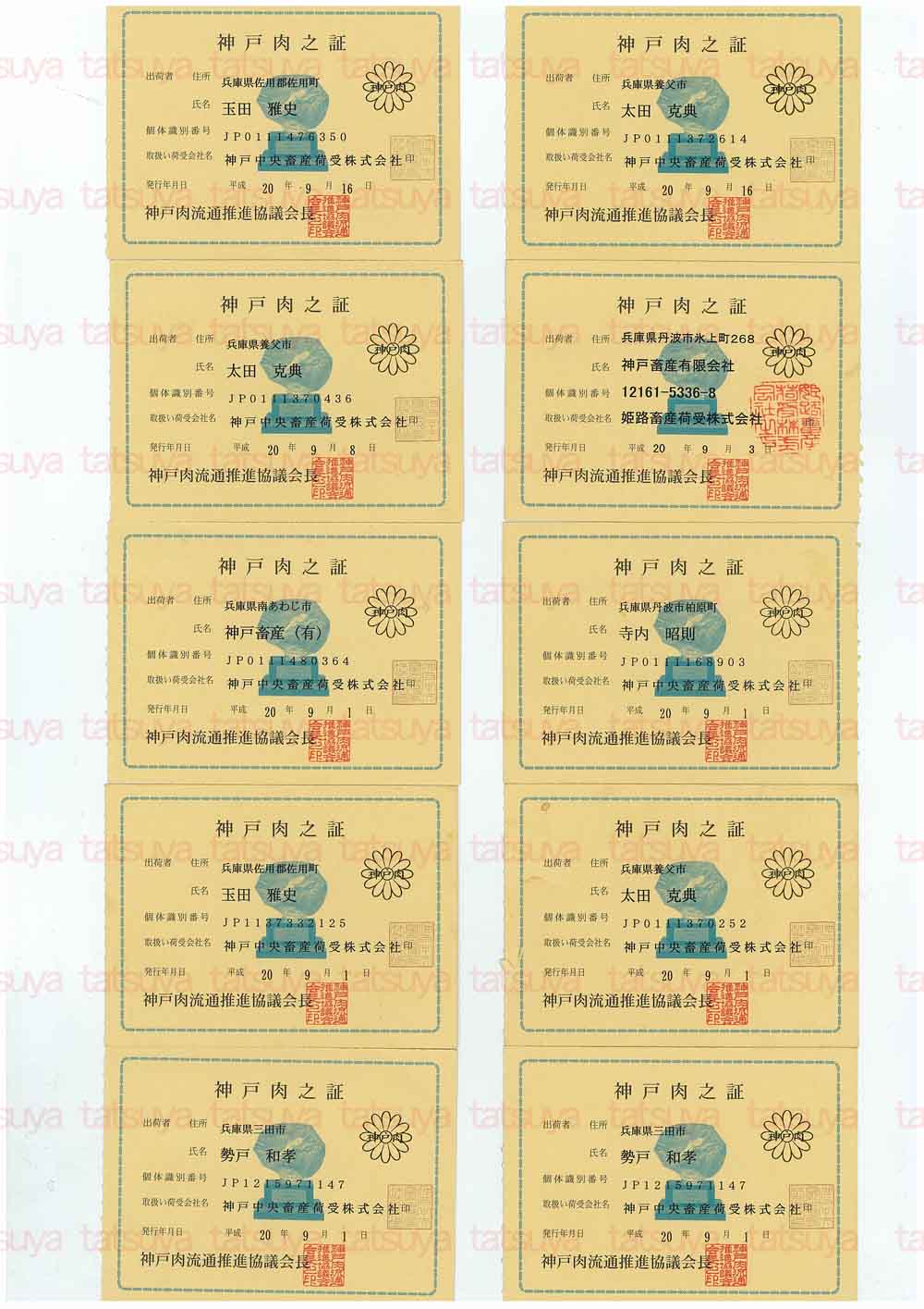 [LOT-08092201-#1.jpg]