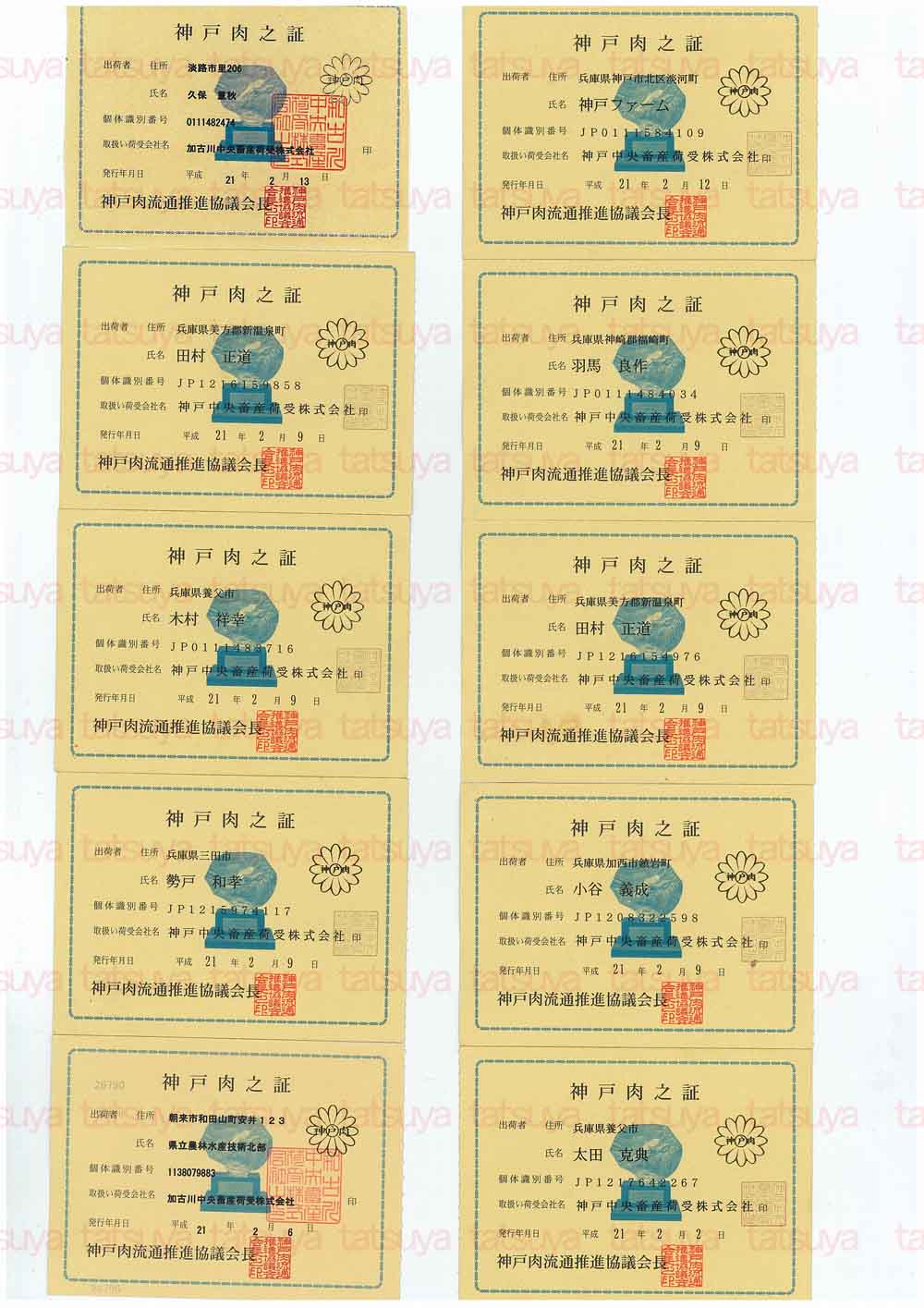 [LOT-09022101-#1.jpg]