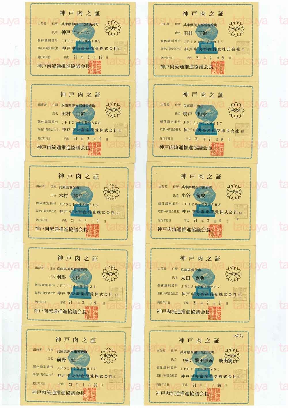 [LOT-09022001-#1.jpg]