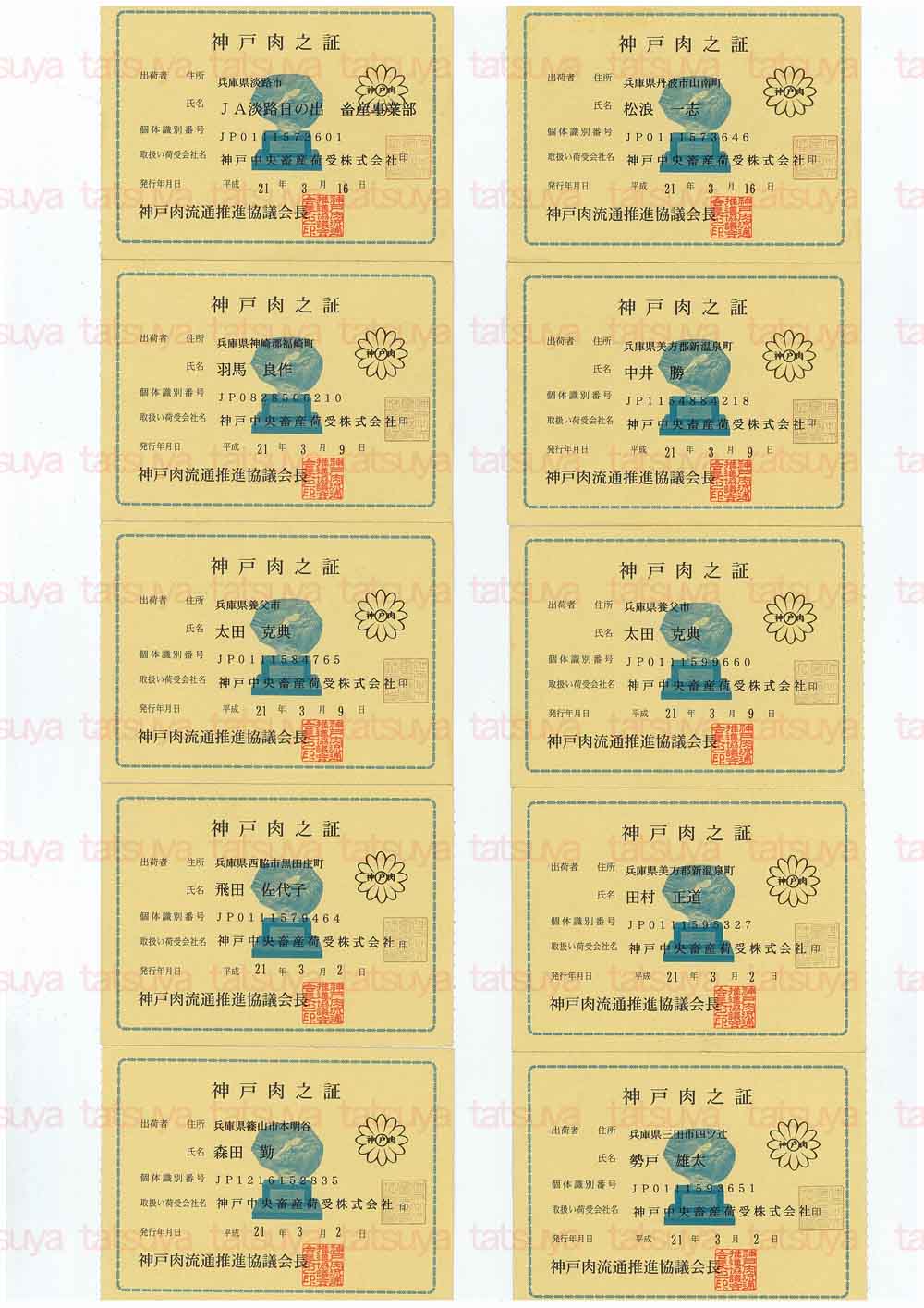 [LOT-09032501-#1.jpg]