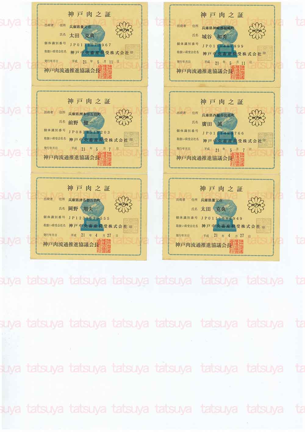[LOT-09052901-#1.jpg]