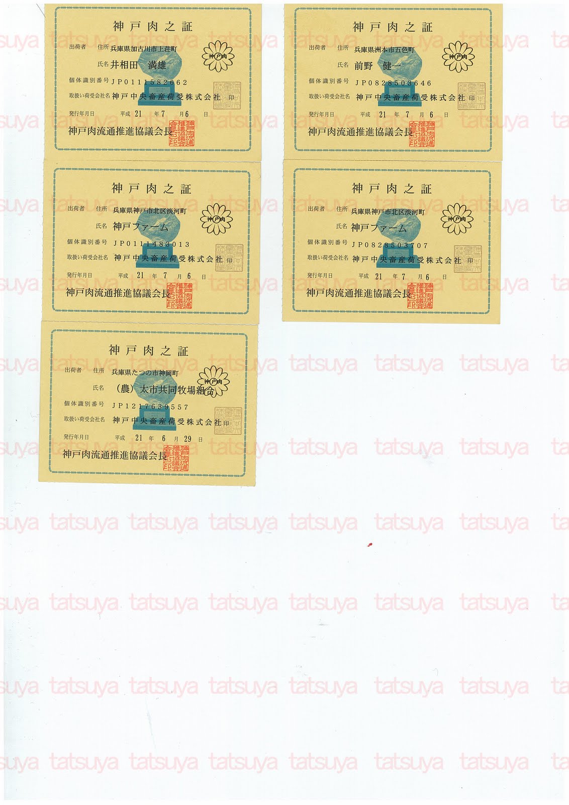 [LOT-09072402-#2.jpg]