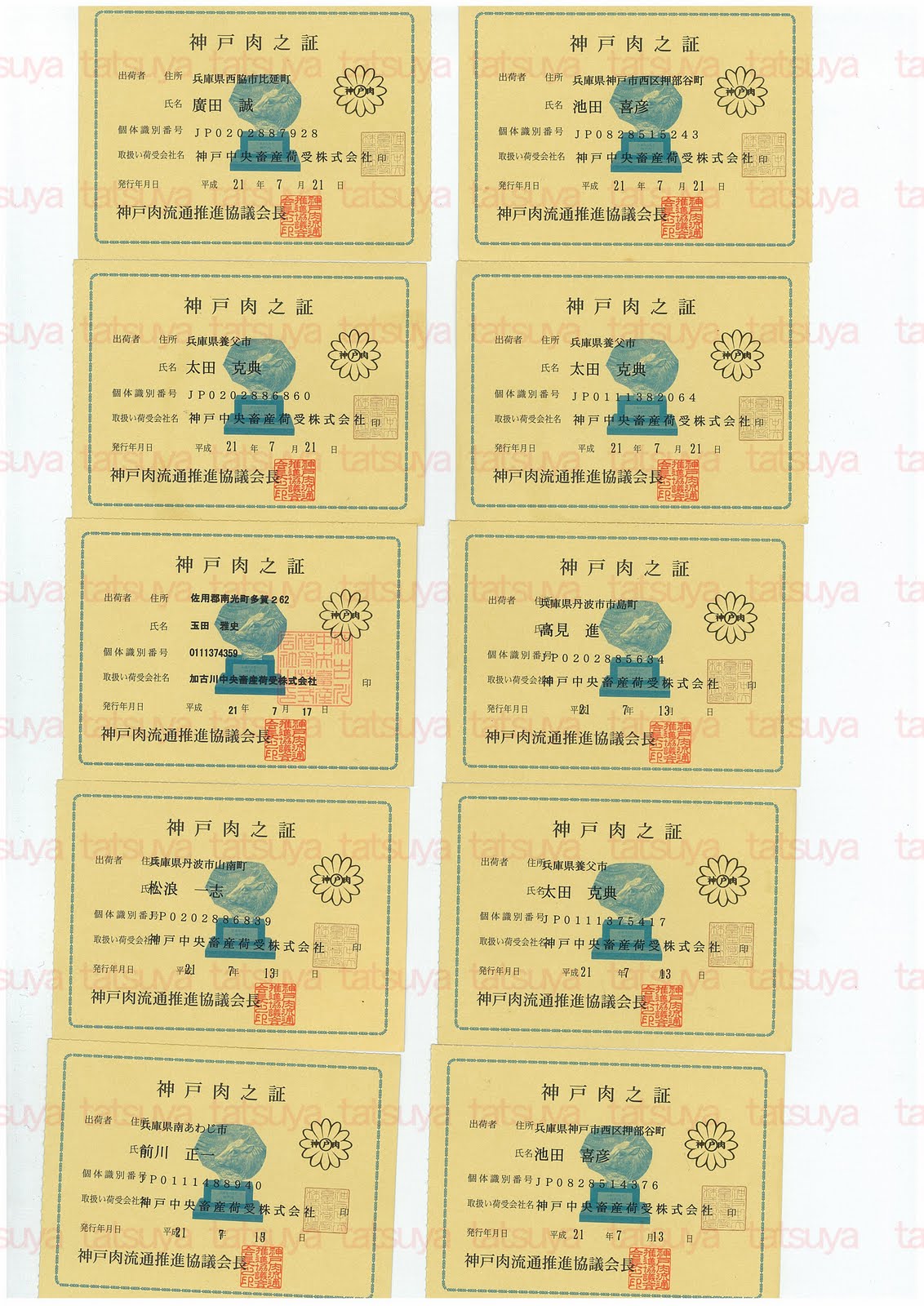 [LOT-09073101-#1.jpg]