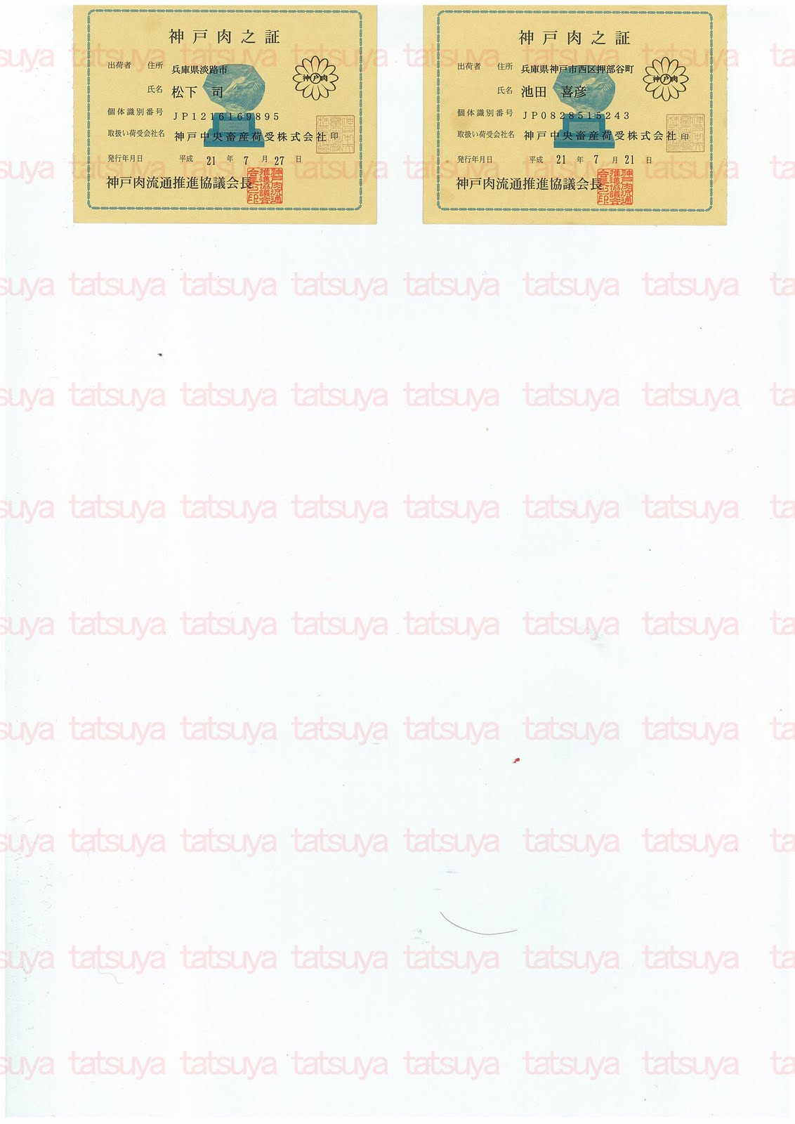 [LOT-09082001-#2.jpg]