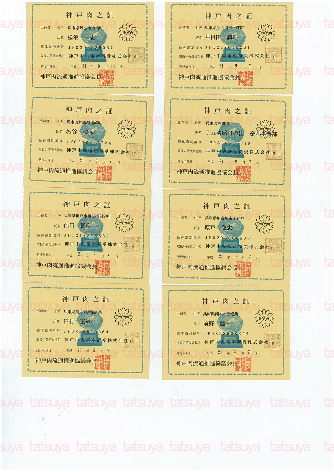 [LOT-09100601-#2.jpg]