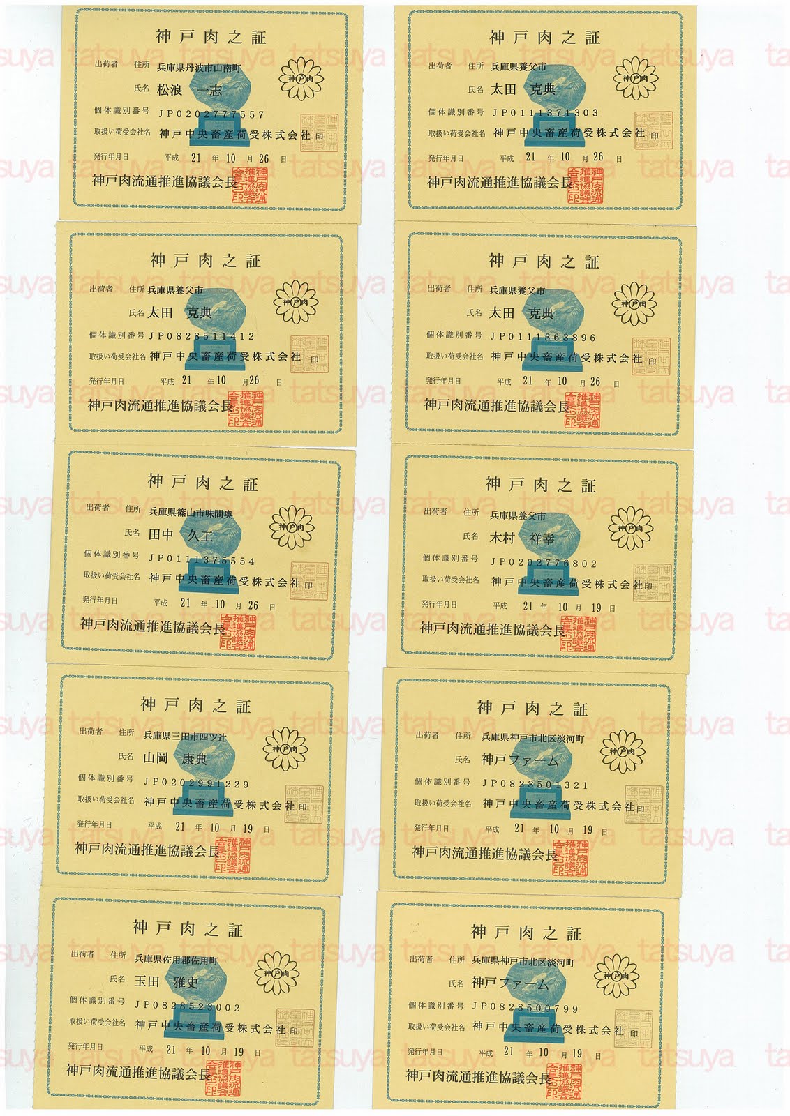 [LOT-09110201-#1.jpg]