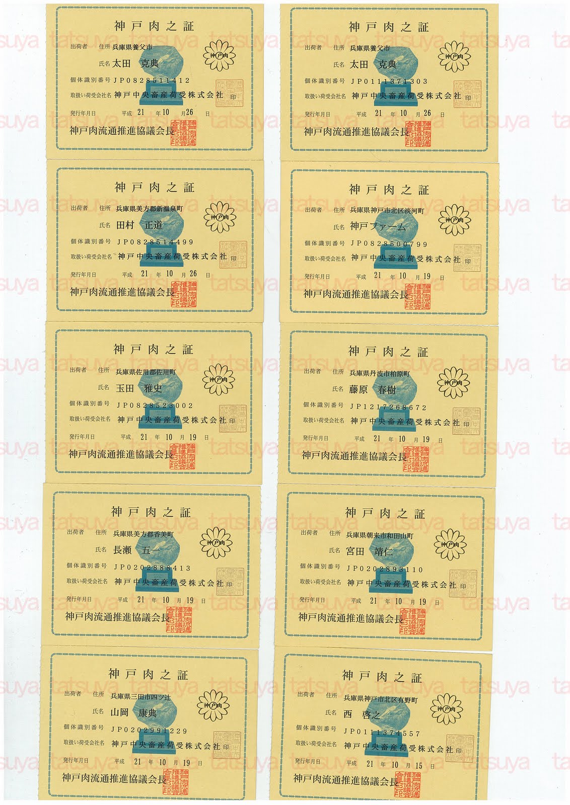 [LOT-09111401-#2.jpg]
