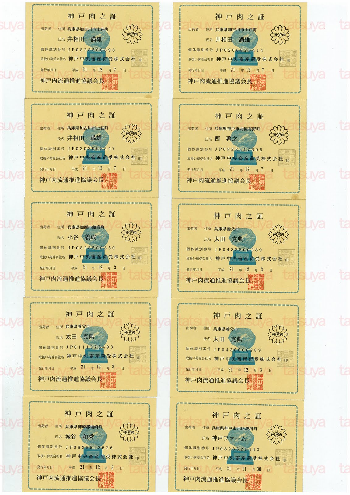 [LOT-09121101-#1.jpg]