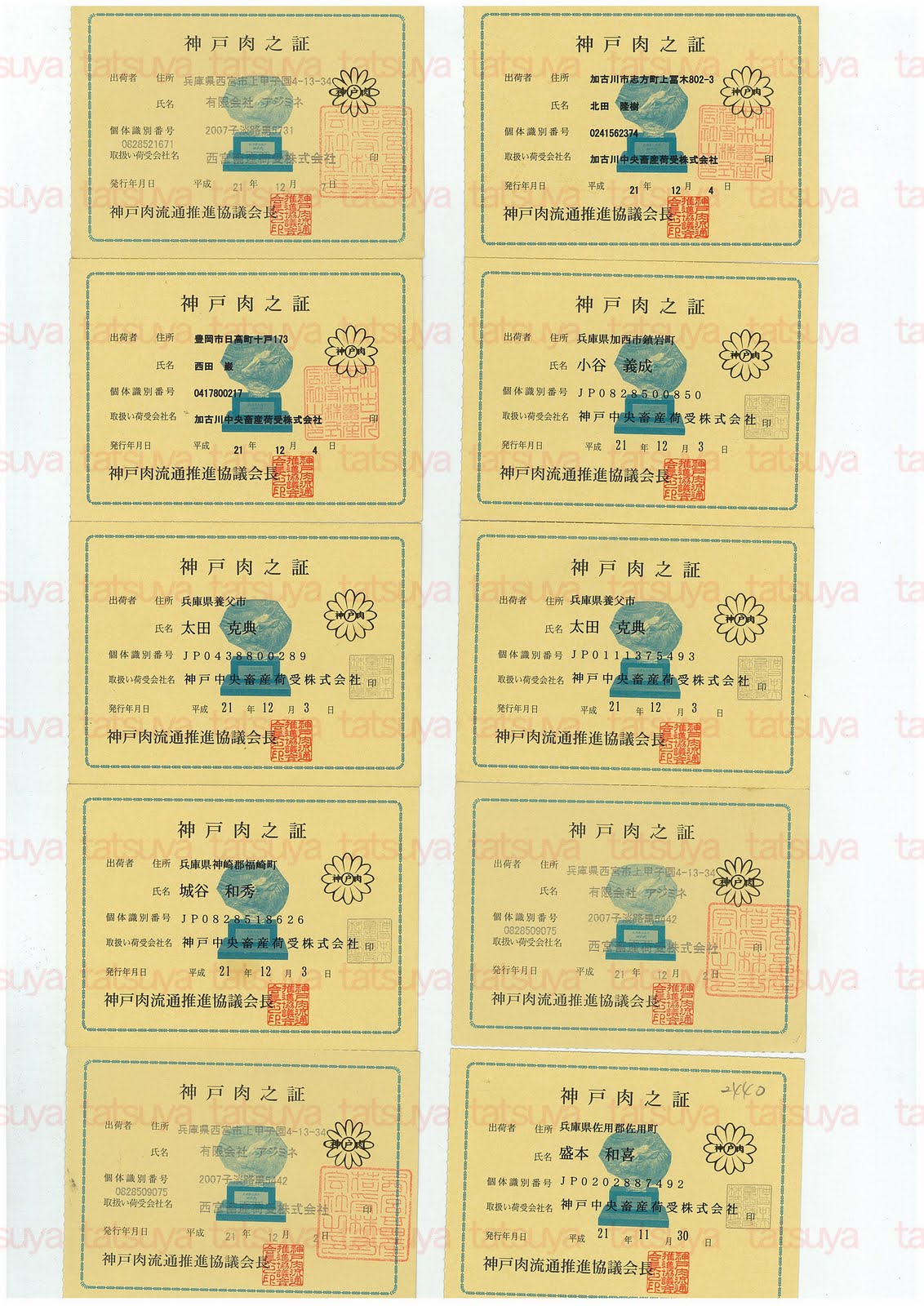 [LOT-09121801-#2.jpg]
