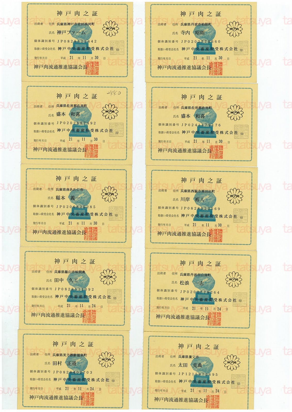 [LOT-09122501-#5.jpg]