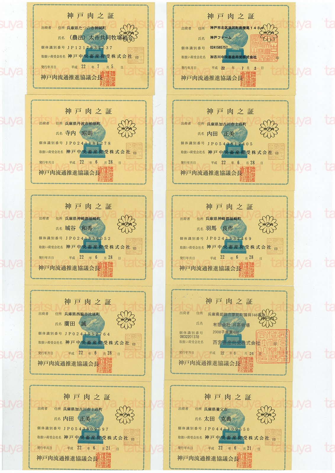 [LOT-10071201-#1.jpg]