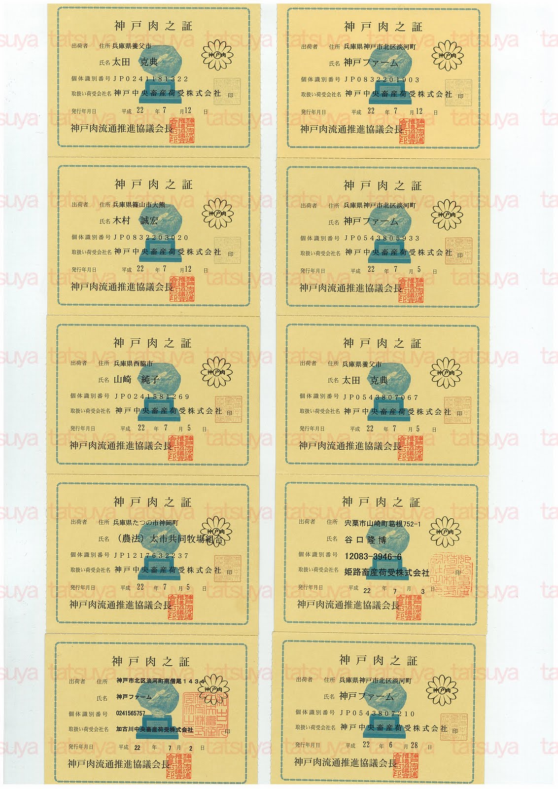 [LOT-10072102-#1.jpg]