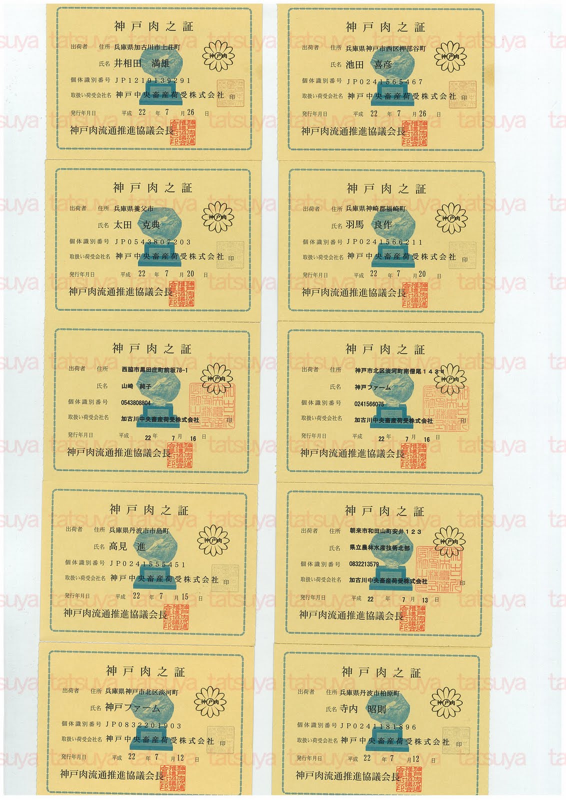 [LOT-10080601-#1.jpg]