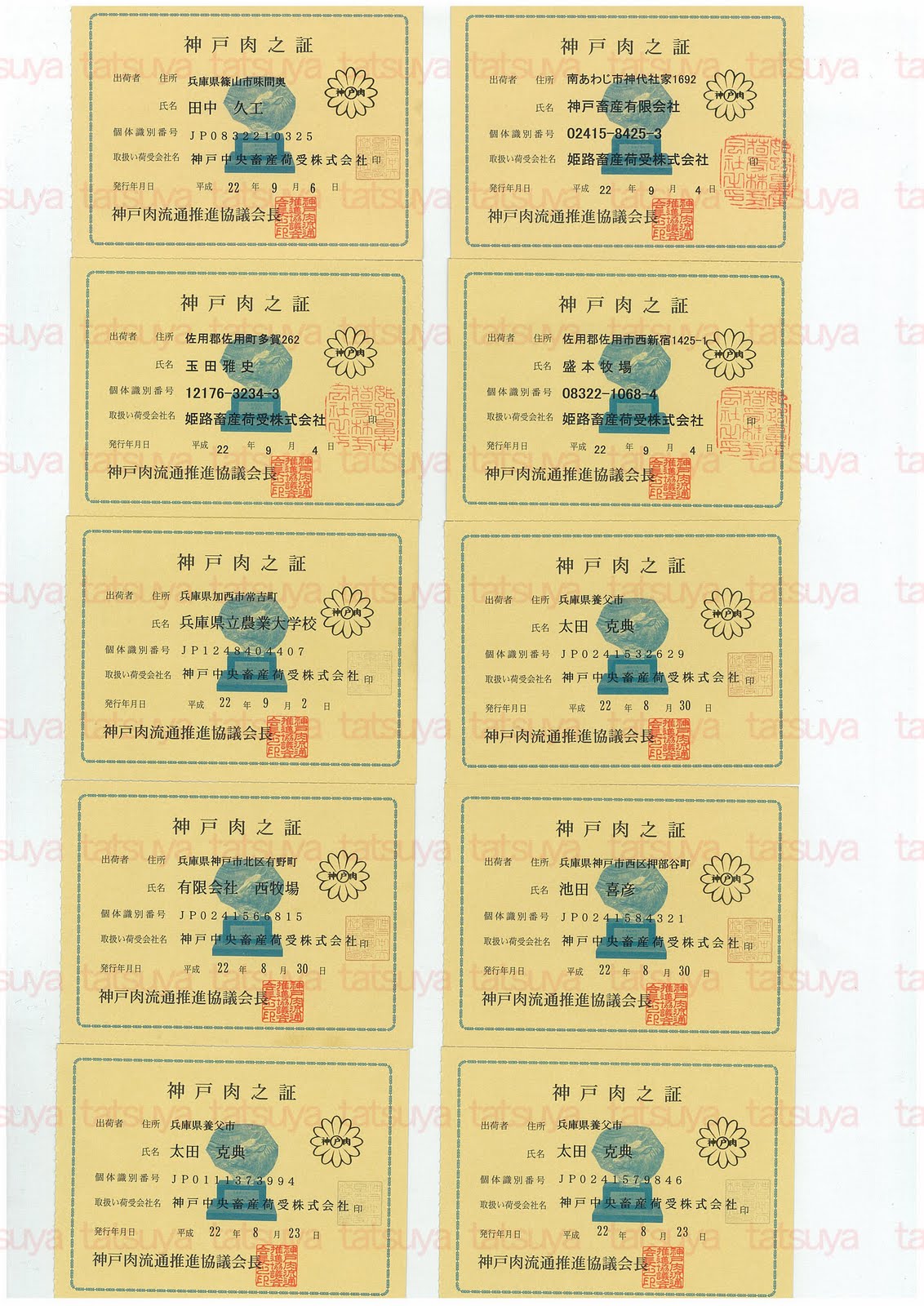 [LOT-10091501-#1.jpg]