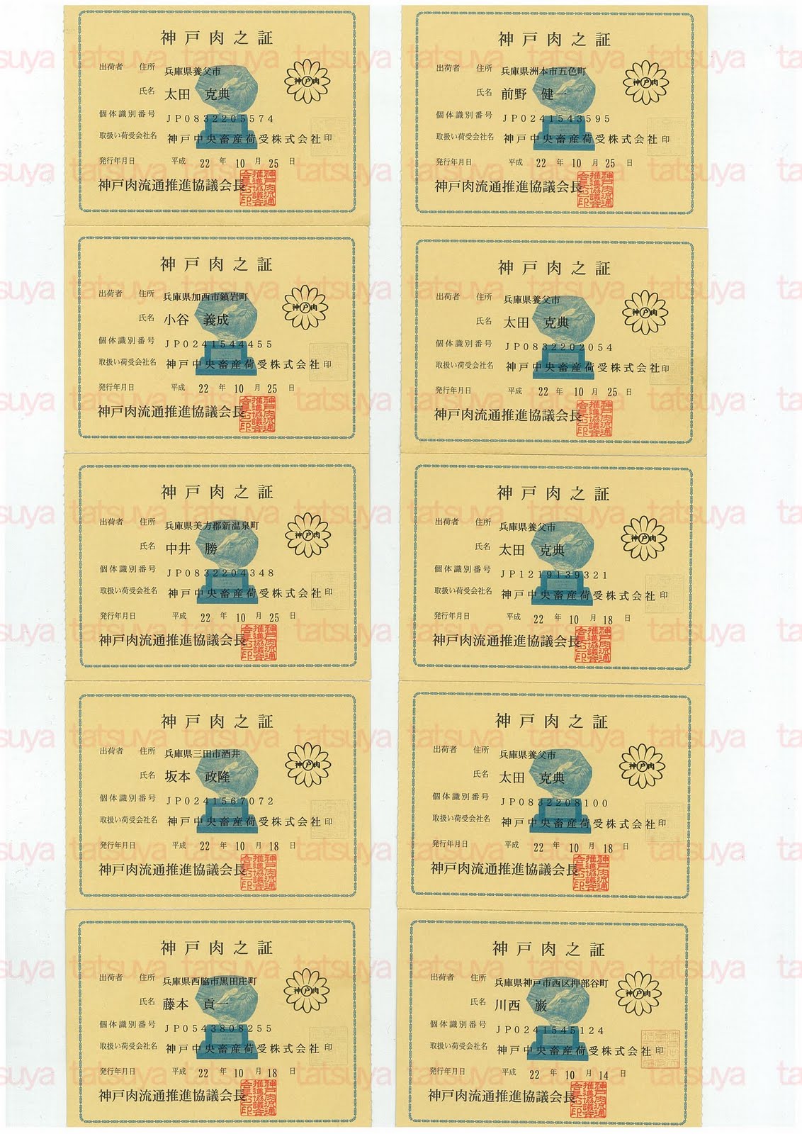 [LOT-10110601-#1.jpg]