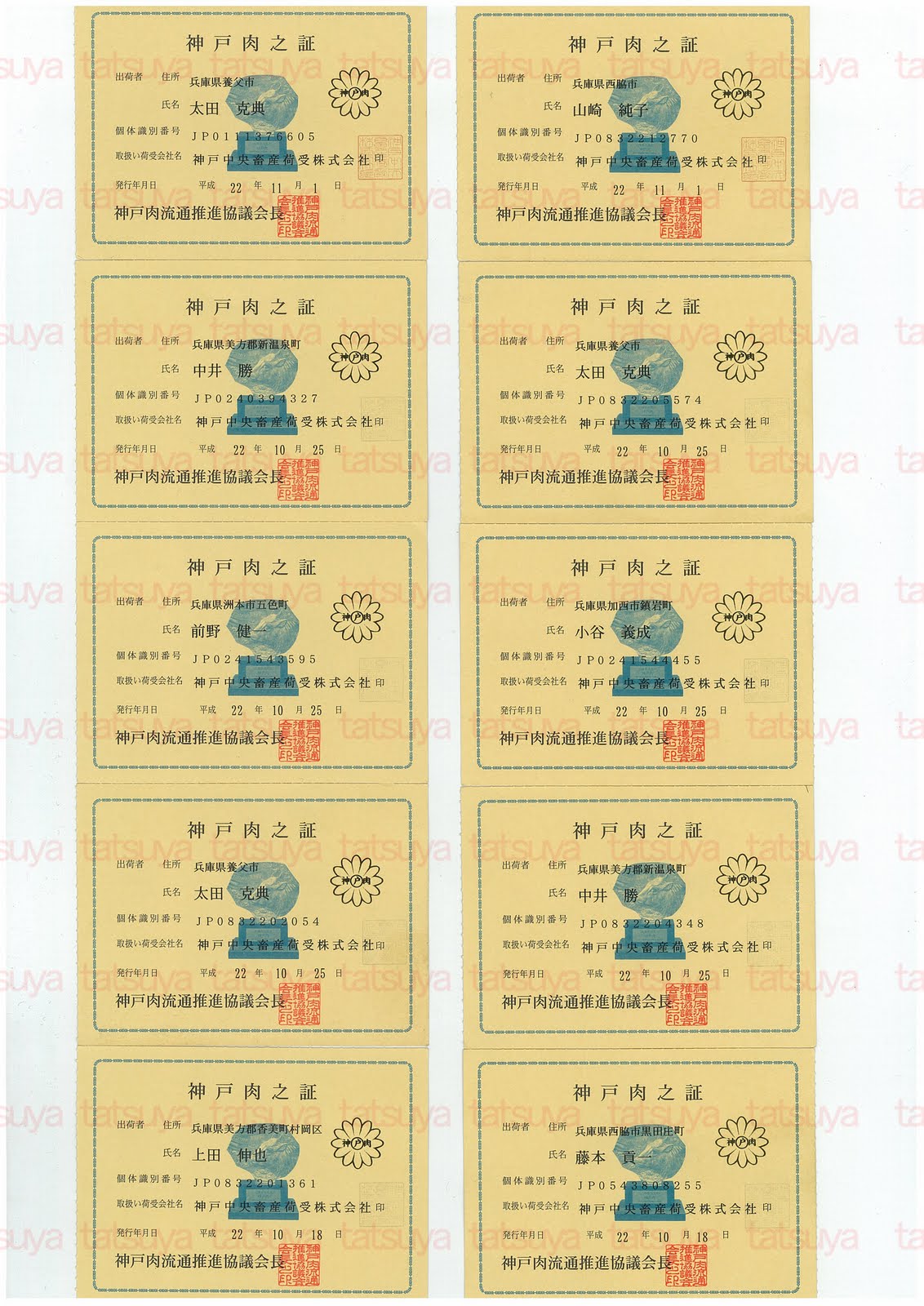 [LOT-10111301-#1.jpg]