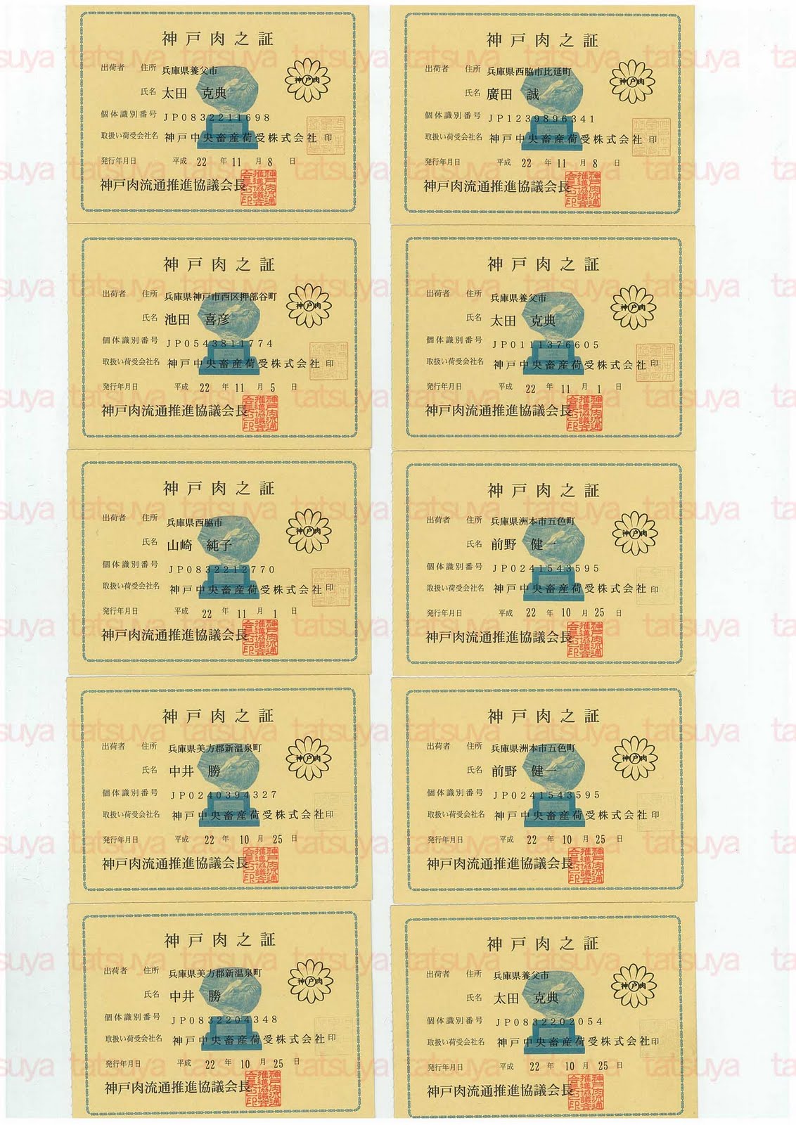 [LOT-10111901-#1.jpg]