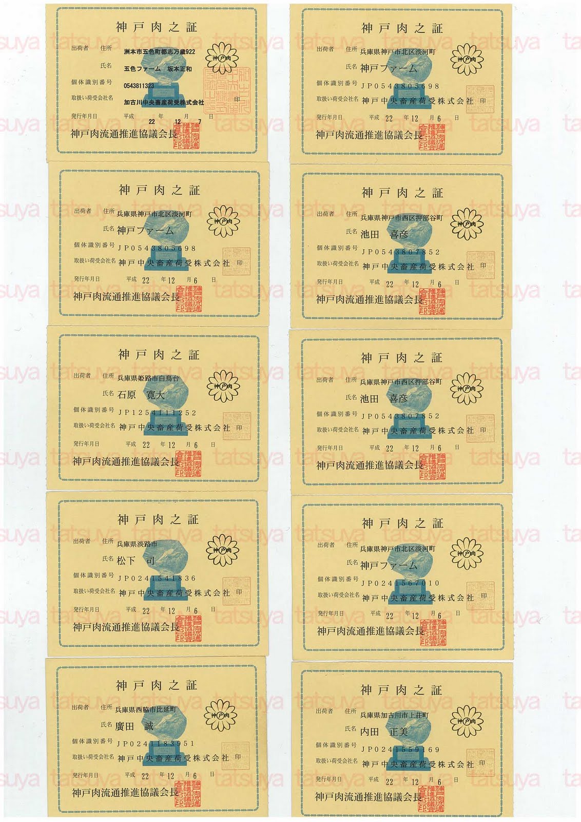 [LOT-10123001-#4.jpg]
