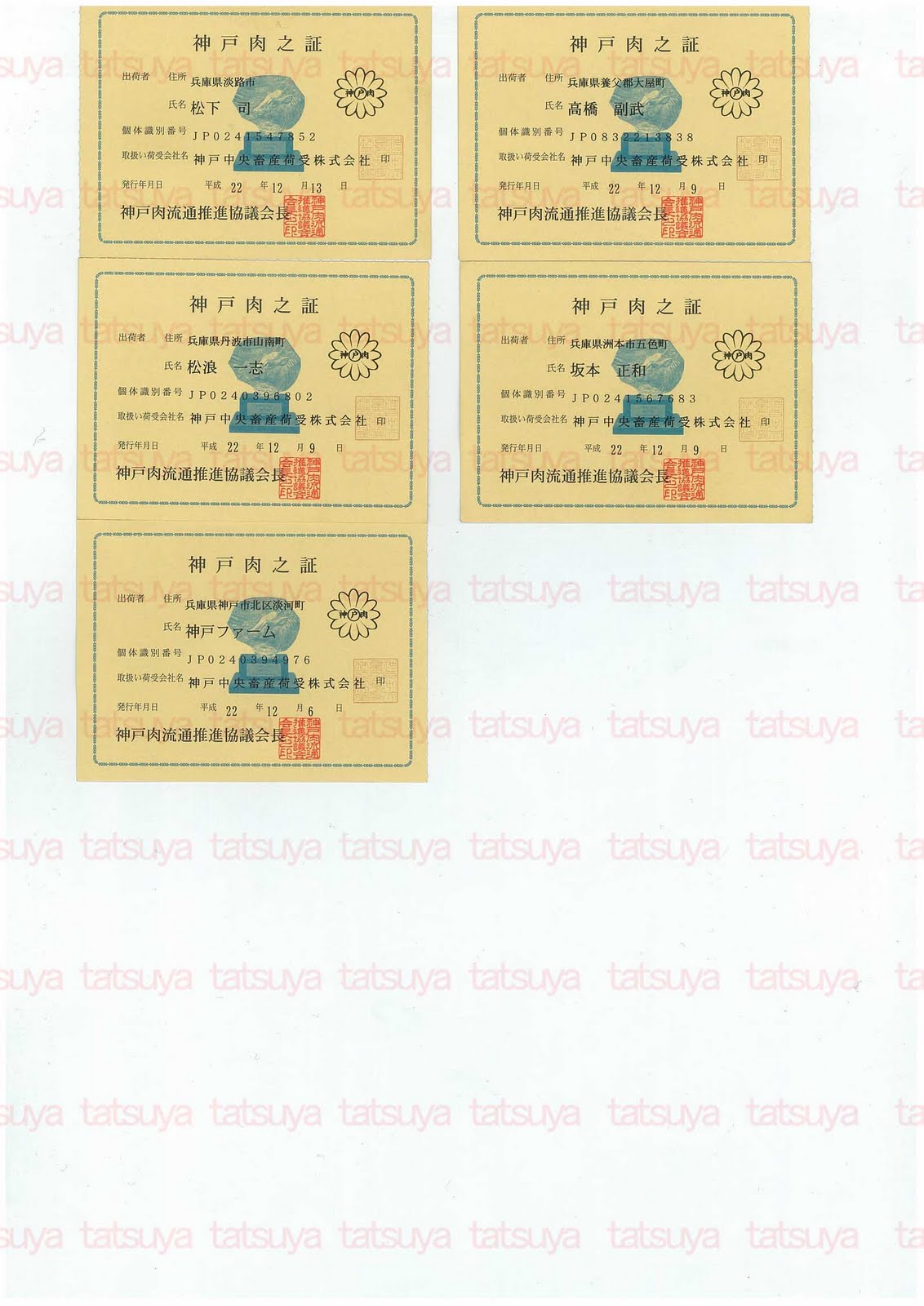 [LOT-11010701-#2.jpg]